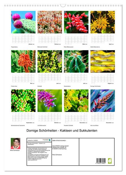 Produktbild: Dornige Sch&ouml;nheiten - Kakteen und Sukkulenten (Wandkalender 2026 DIN A2 hoch), CALVENDO Monatskalender