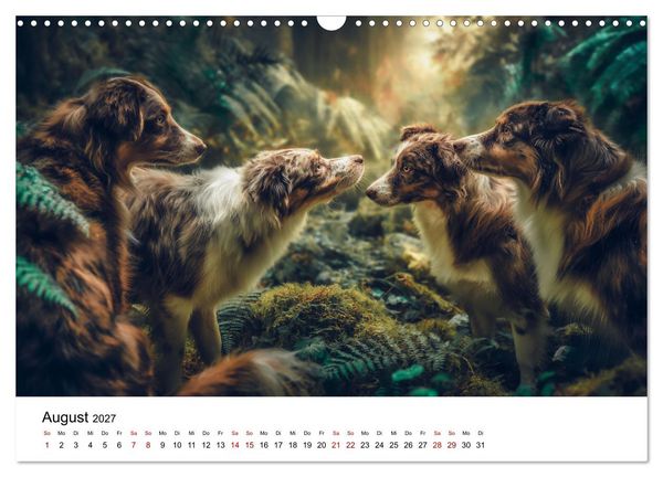 Produktbild: Born to run - Ein Jahr mit Australian Shepherds (Wandkalender 2027 DIN A3 quer), CALVENDO Monatskalender