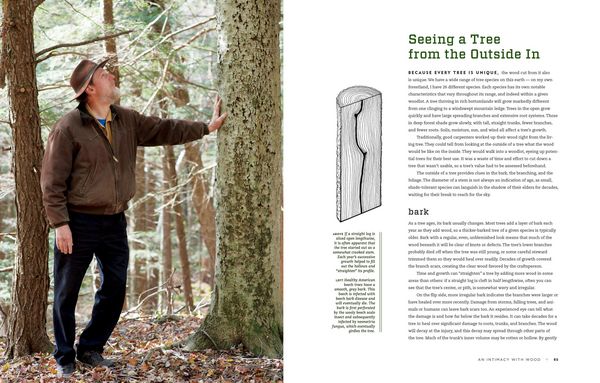 Produktbild: Hand Hewn