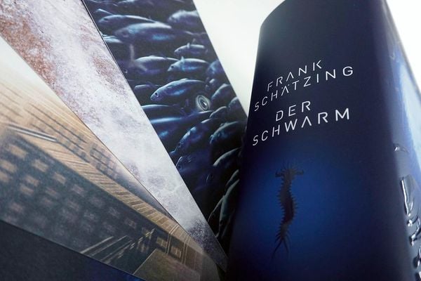 Produktbild: Der Schwarm