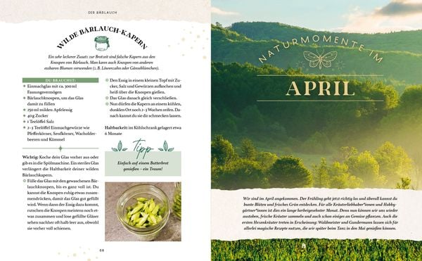 Produktbild: Zaubernuss und Waldmagie – Naturmomente für deine Seele