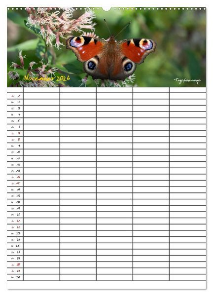 Produktbild: Schmetterlinge in Bayern (Wandkalender 2026 DIN A2 hoch), CALVENDO Monatskalender