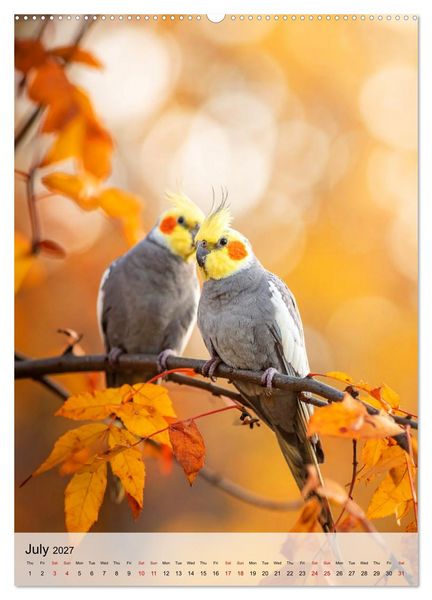 Produktbild: Cockatiel Dreams (High Quality Premium Wall Calendar 2027 DIN A2 portrait),CALVENDO 12 Month Wall Calendar