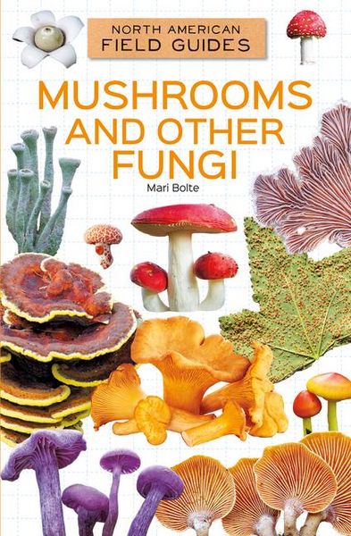 Produktbild: Mushrooms and Other Fungi