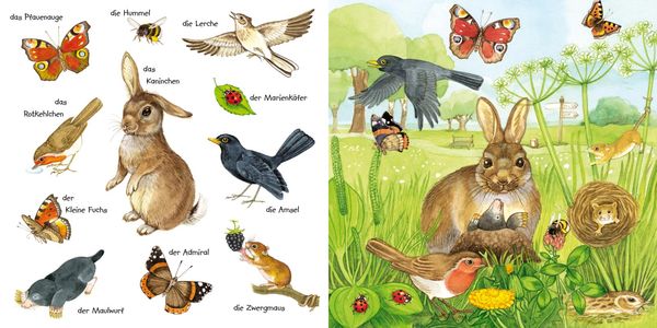 Produktbild: Mein kleines buntes Bildw&ouml;rterbuch: Tiere im Park und im Garten