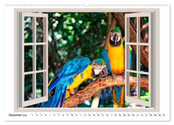 Produktbild: Fenstergucker - tierische Freunde an der Wand (Wandkalender 2026 DIN A2 quer), CALVENDO Monatskalender