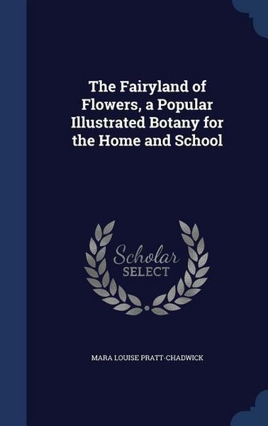 Produktbild: The Fairyland of Flowers, a Popular Illustrated Botany for the Home and School