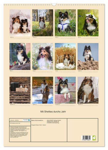 Produktbild: Mit Shelties durchs Jahr (Wandkalender 2026 DIN A2 hoch), CALVENDO Monatskalender