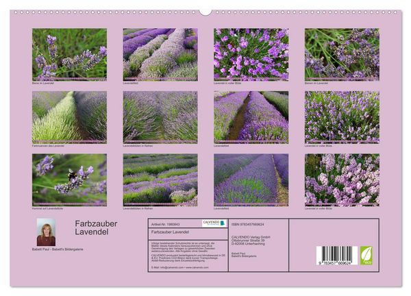 Produktbild: Farbzauber Lavendel (hochwertiger Premium Wandkalender 2026 DIN A2 quer), Kunstdruck in Hochglanz