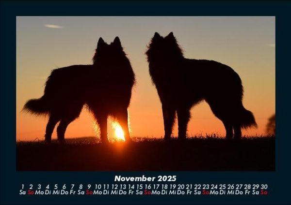 Produktbild: Der Hundekalender 2025 Fotokalender DIN A5