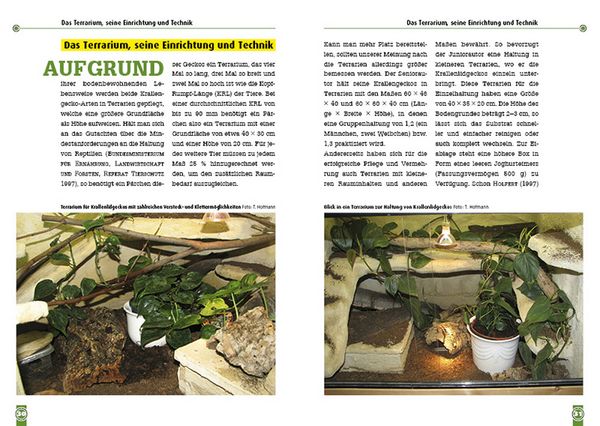 Produktbild: Der Mexikanische und Mittelamerikanische Krallengecko