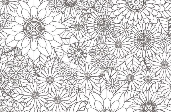 Produktbild: Colorful Mandala &ndash; Bl&uuml;ten und Schmetterlinge