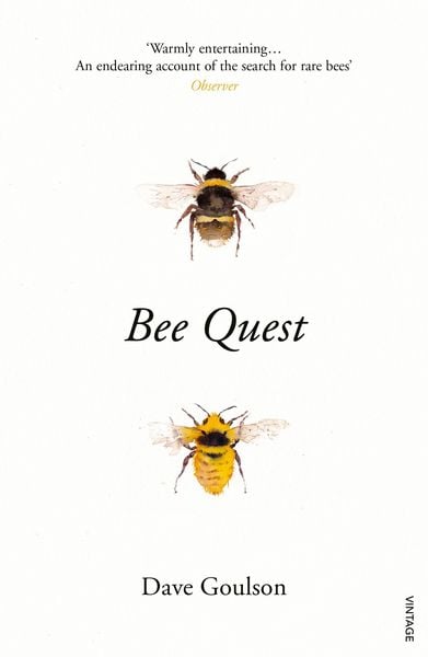 Produktbild: Bee Quest