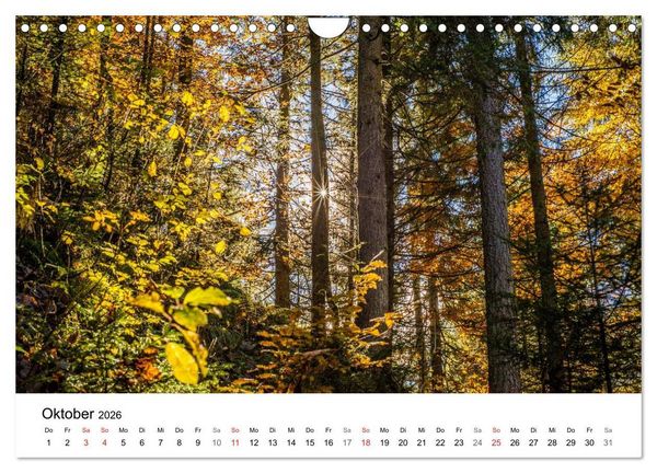 Produktbild: Salzburger Saalachtal - unterwegs im Pinzgau (Wandkalender 2026 DIN A4 quer), CALVENDO Monatskalender