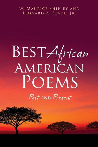 Produktbild: Best African American Poems