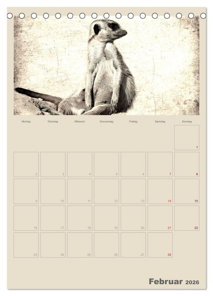 Produktbild: Lustige Erdm&auml;nnchen (Tischkalender 2026 DIN A5 hoch), CALVENDO Monatskalender
