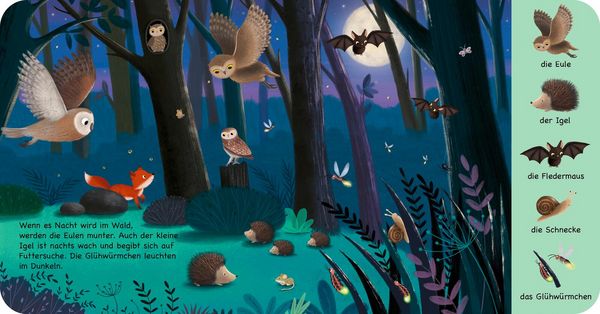 Produktbild: Mein erstes Natur-Wimmelbuch: Tiere im Wald &ndash; Mini-Ausgabe