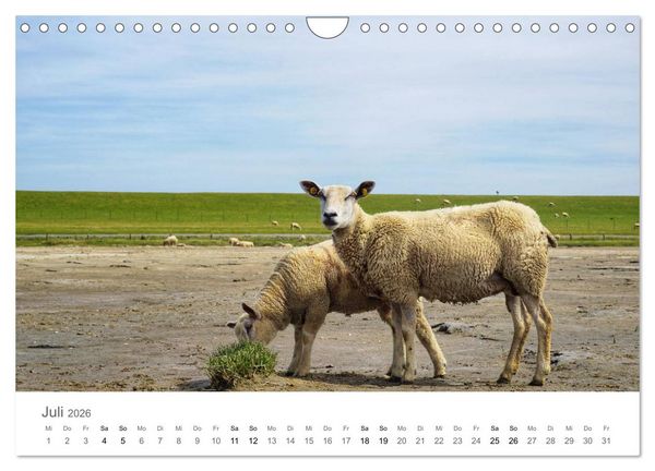 Produktbild: Nordfriesland (Wandkalender 2026 DIN A4 quer), CALVENDO Monatskalender