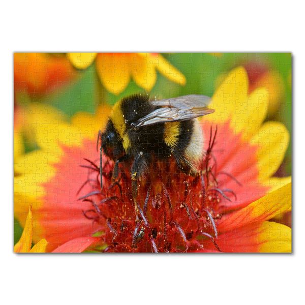 Produktbild: Lais Puzzle Hummel 500 Teile