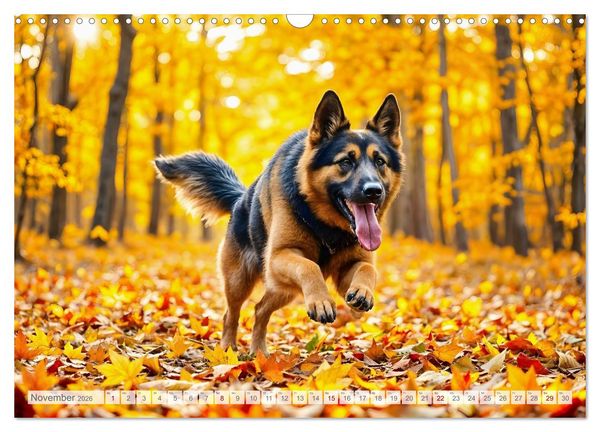 Produktbild: Sch&auml;ferhund 24/7 - Keine Pause f&uuml;r echte Helden (Wandkalender 2026 DIN A3 quer), CALVENDO Monatskalender