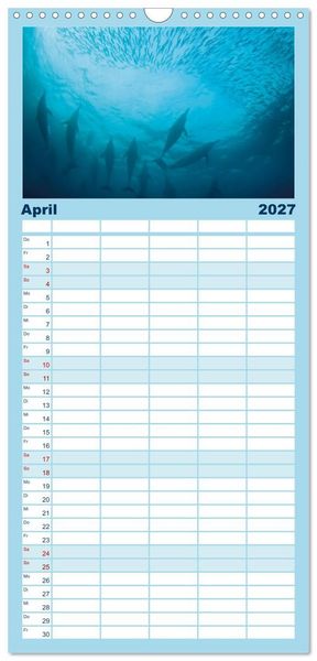 Produktbild: Familienplaner 2027 - Delfine: Elegante Wellenreiter mit 5 Spalten (Wandkalender, 21 x 45 cm) CALVENDO