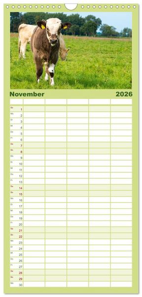 Produktbild: Familienplaner 2026 - Die Kuh macht Muuuh! mit 5 Spalten (Wandkalender, 21 x 45 cm) CALVENDO