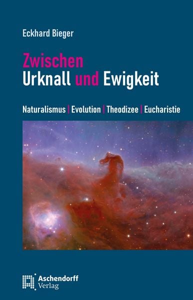 Produktbild: Zwischen Urknall und Ewigkeit