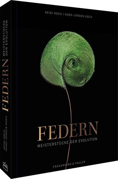 Produktbild: Federn