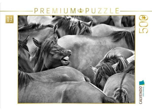 CALVENDO Puzzle Darf ich mal bitte durch | 500 Teile Lege-Größe 48 × 36 cm Foto-Puzzle für Erwachsene