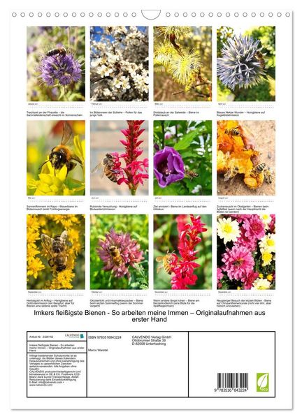 Produktbild: Imkers flei&szlig;igste Bienen - So arbeiten meine Immen &ndash; Originalaufnahmen aus erster Hand (Wandkalender 2027 DIN A3 hoch), CALVENDO Monatskalender