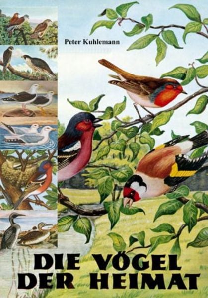 Die Vögel der Heimat, Taschenbuch von Peter Kuhlemann, Videel, 9783899063769