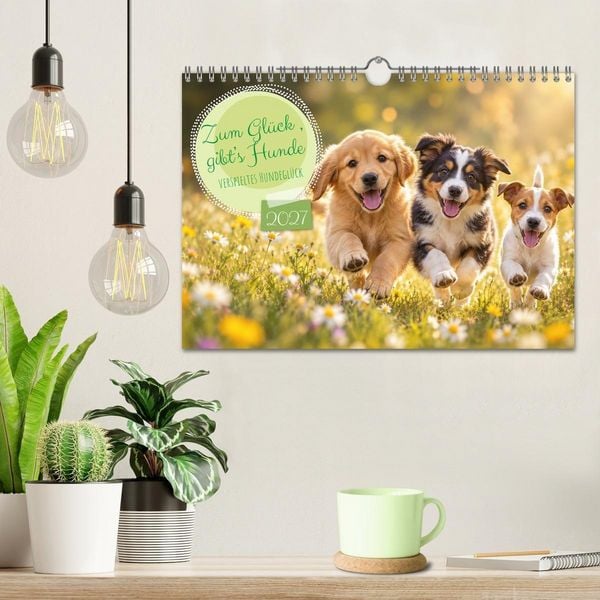 Produktbild: Zum Gl&uuml;ck gibt&rsquo;s Hunde (Wandkalender 2027 DIN A4 quer), CALVENDO Monatskalender