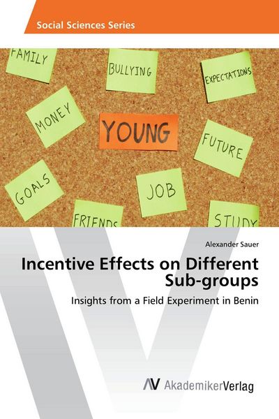 Produktbild: Incentive Effects on Different Sub-groups
