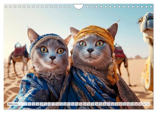 Produktbild: KATZEN-SELFIES Tierische Reiselust (Wandkalender 2026 DIN A4 quer), CALVENDO Monatskalender