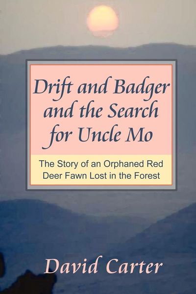 Produktbild: Drift and Badger and the Search for Uncle Mo