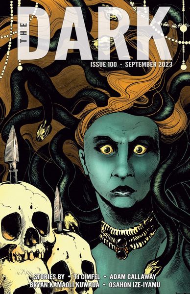 Produktbild: The Dark Issue 100