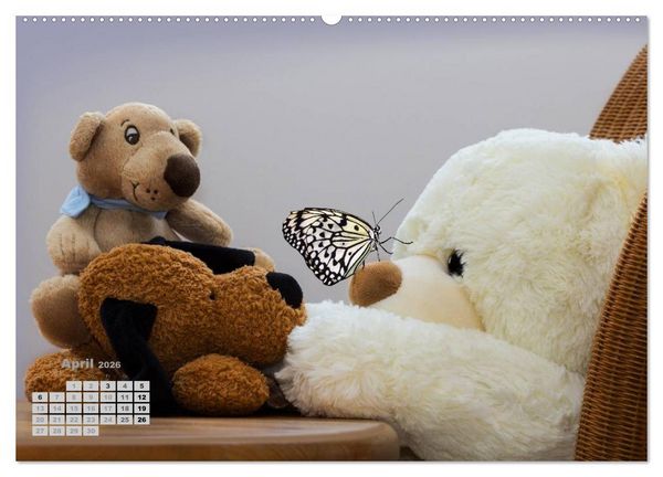 Produktbild: Teddys, wollen wir Kalender anschauen? (Wandkalender 2026 DIN A2 quer), CALVENDO Monatskalender