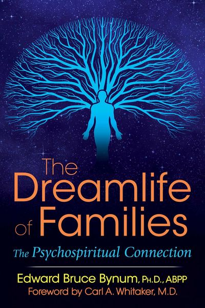 Produktbild: The Dreamlife of Families