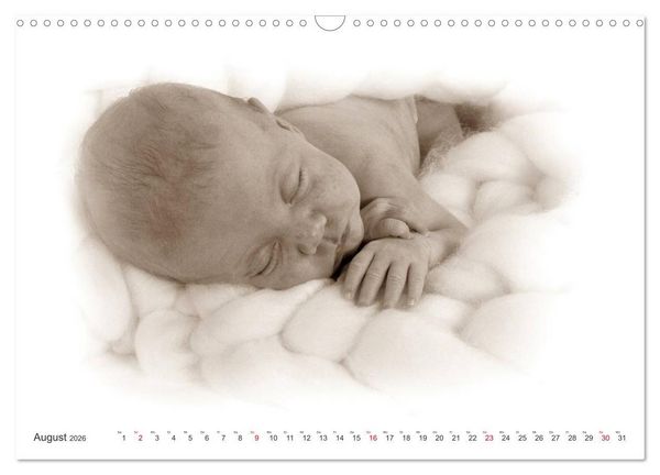 Produktbild: Babys - Willkommen im Leben (Wandkalender 2026 DIN A3 quer), CALVENDO Monatskalender