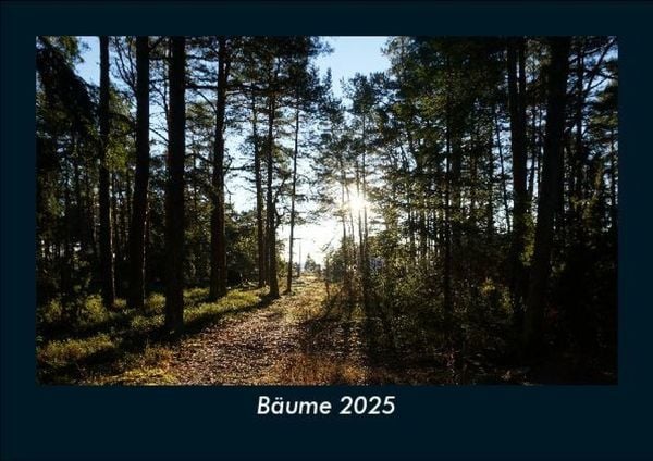 Produktbild: B&auml;ume 2025 Fotokalender DIN A5