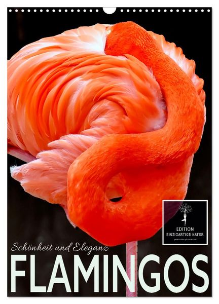 Flamingos - Eleganz und Schönheit (Wandkalender 2025 DIN A3 hoch), CALVENDO Monatskalender