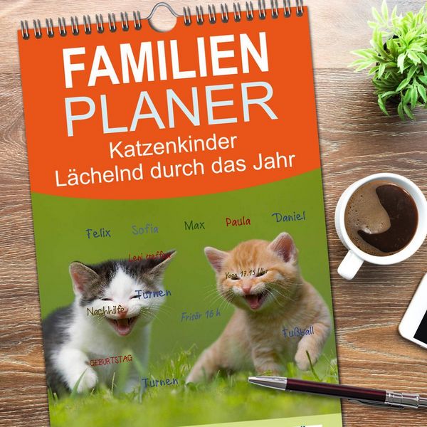 Produktbild: Familienplaner 2026 - L&auml;chelnd durchs Jahr - Katzenkinder -Familienplaner hoch mit 5 Spalten (Wandkalender, 21 x 45 cm) CALVENDO