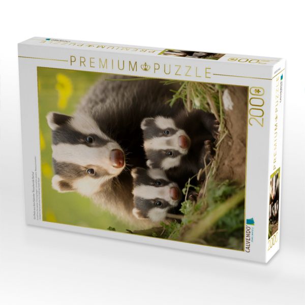 Produktbild: CALVENDO Puzzle Ein Motiv aus dem Kalender "Bezaubernde Dachse" | 2000 Teile Lege-Gr&ouml;&szlig;e 90x67cm Foto-Puzzle f&uuml;r gl&uuml;ckliche Stunden