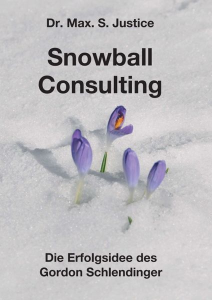Produktbild: Snowball Consulting