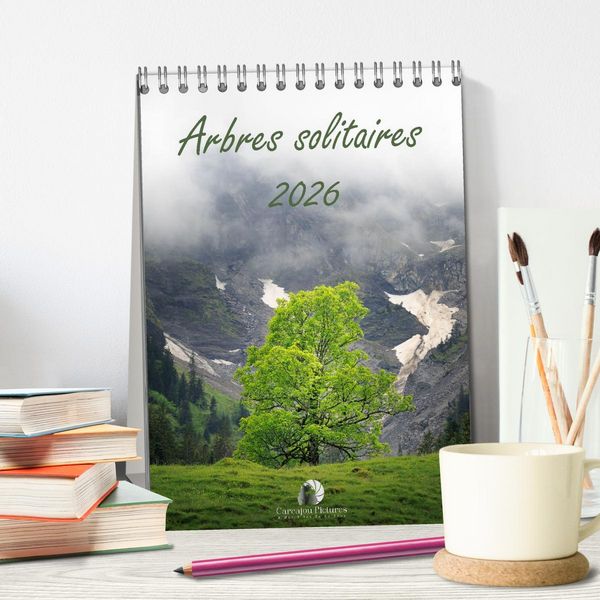 Produktbild: Arbres solitaires (Calendrier de bureau 2026 DIN A5 horizontal), CALVENDO calendrier mensuel