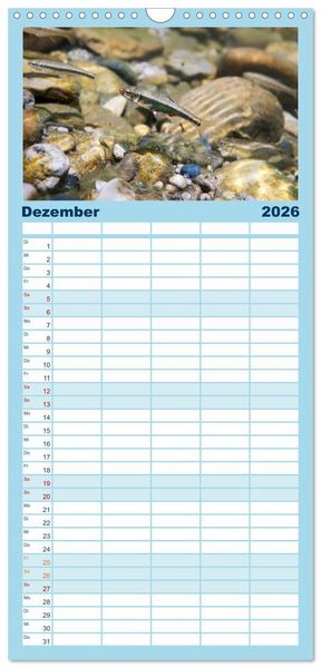 Produktbild: Familienplaner 2026 - Faszination Fische mit 5 Spalten (Wandkalender, 21 x 45 cm) CALVENDO