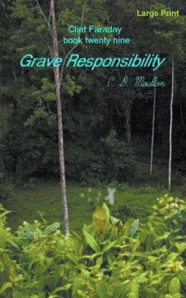 Produktbild: Grave Responsibility