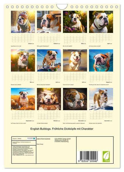 Produktbild: English Bulldogs. Fr&ouml;hliche Dickk&ouml;pfe mit Charakter (Wandkalender 2026 DIN A4 hoch), CALVENDO Monatskalender