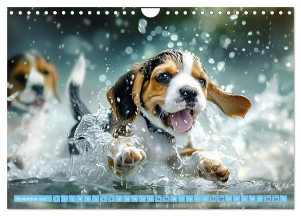 Produktbild: Hunde und Wasser (Wandkalender 2026 DIN A4 quer), CALVENDO Monatskalender