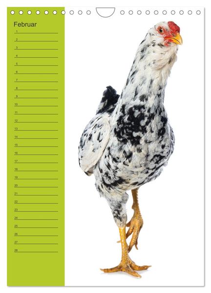 Produktbild: Kunterbunte H&uuml;hner Truppe (Wandkalender 2026 DIN A4 hoch), CALVENDO Monatskalender